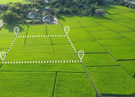 How Do I Get a Title Search on My Property