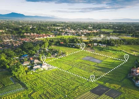 What is a Title Search